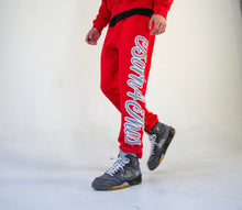 Load image into Gallery viewer, Born4This Joggers